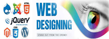 Web Design Services Pune